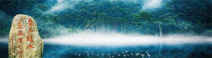 1681863242814746.gif